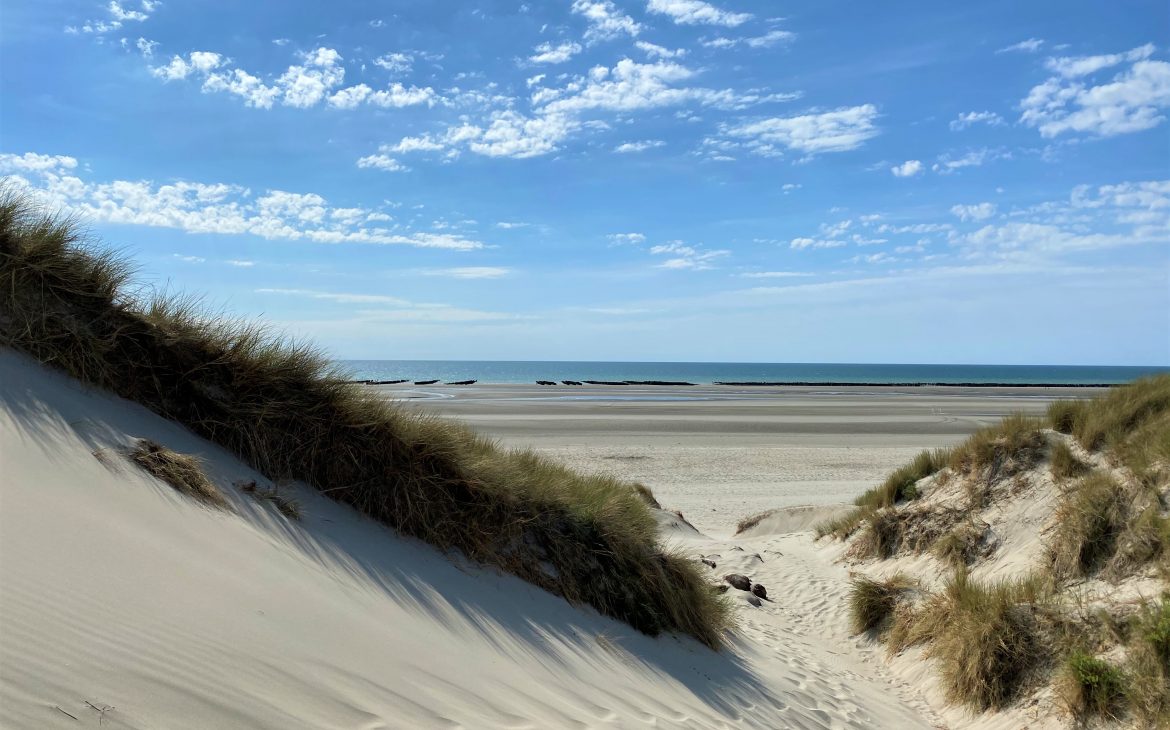 Escapade à la plage dans la baie de Somme
